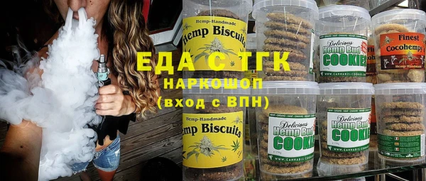 индика Гусиноозёрск