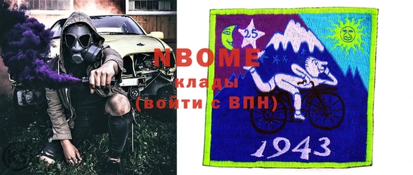 прущие грибы Вязники