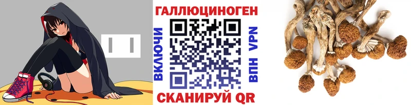 купить наркотики сайты  Игарка  Галлюциногенные грибы GOLDEN TEACHER 